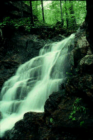 [Waterfall]